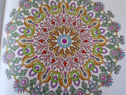 whatsapp bild 2025-04-11 um 16.14.52_58dbdc67